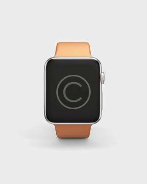 Personal Smart Watch